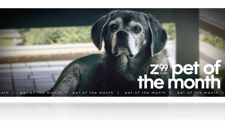 Pet of the Month